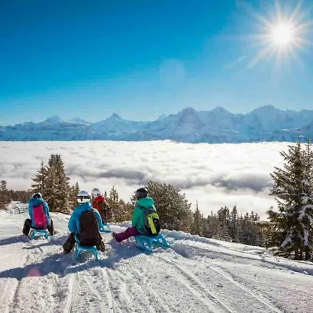 Apartment Mignon - Your Vacation Oasis At Brienz Bönigen