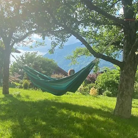 Peaceful Lakeside With Garden And Parking - Mignon * Bönigen