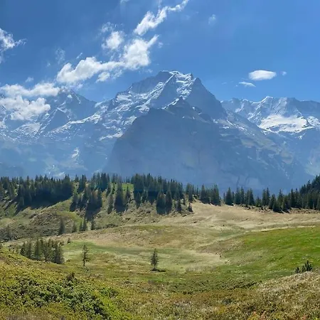 Mignon - Your Vacation Oasis At Brienz Apartment Bonigen